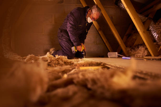 Best Local Insulation Services  in Greenhills, OH